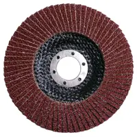 Круг лепестковый торцевой КЛТ1 Flexione Р60 125x22.2 мм