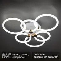 Люстра потолочная светодиодная диммируемая Ritter Ottimo 51613 6 с Алисой и пультом 144Вт 65м² 2700K-6400K цвет белый/зо