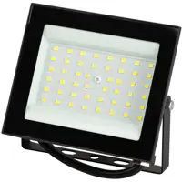 Прожектор светодиодный уличный Эра LPR-024-050 50 Вт 6500К IP65 нейтральный белый свет