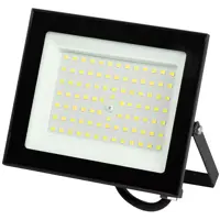 Прожектор светодиодный уличный Эра LPR-024-100 100 Вт 6500К IP65 нейтральный белый свет