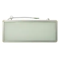 Светильник аварийный светодиодный Rexant 74-1310 с аккумулятором двухсторонний IP30 цвет белый