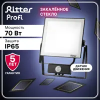 Прожектор светодиодный уличный Ritter 53423 9 70 Вт 6500 К IP65 холодный белый (голубой) свет