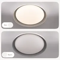 Светильник настенно-потолочный светодиодный Citilux CL752451G Mega 21 м² регулируемый белый свет цвет белый