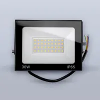 Прожектор светодиодный уличный Eleganz 1206 30 Вт 3000 К IP65 теплый белый (желтый) свет