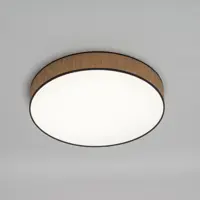 Светильник настенно-потолочный светодиодный Rexant Lumi line 650-1077 с пультом управления 30 м² регулируемый белый свет