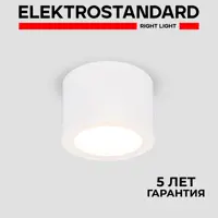 Светильник точечный светодиодный накладной Elektrostandard DLR026 6W 4200K a040440 под отверстие 104 мм 2 м² нейтральный